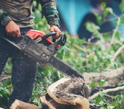 Mantenimiento de jardines en Toledo
