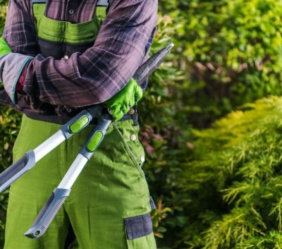 Servicios de jardinería en Toledo